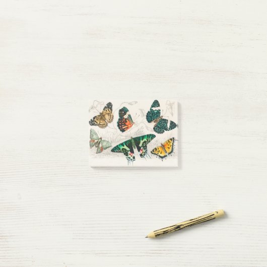 Collection of Various Butterflies Post-it® Notes (Op bureau)