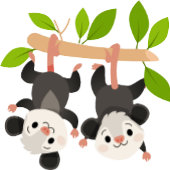 Two Lying Opossums, Custom Birthday Date Bedankzakje