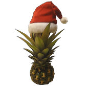 Hawaïaanse ananas kerst Teenslippers