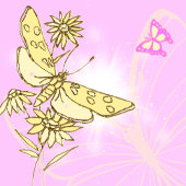 Roze pervlinderpapier cadeaupapier