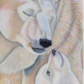 Polar Beer Love Cadeaupapier