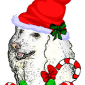 Poodle Christmas Ornament Kaart