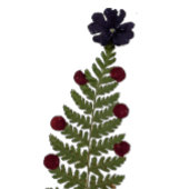 Gedroogde pers bloem Kerstboom Rok