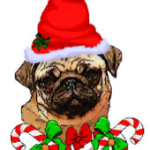 Pug kerst Merry Cadeaupapier