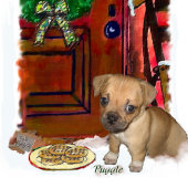 kerstcadeautjes met puggle trui