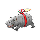 Rocket Hippo Verjaardag