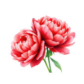 Sophisticated Red Floral Beverage Menu Acryl Bord