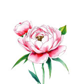 Romantic Pink Floral Peony Illustration Etiket