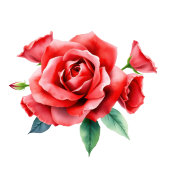 Elegant Red Floral Beverage Menu Acryl Bord