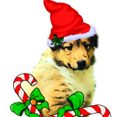 Collie Puppy Kerstmis Bad Handdoek