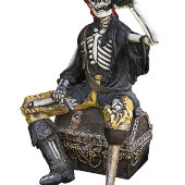 pirate cadeau inpakpapier