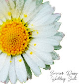 Rustic Daisy Summer Wedding Invitation Kaart