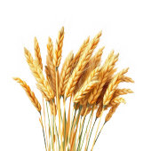 Romantische Crème Marine Foto Bedankkaart