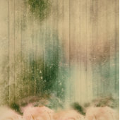 Rustige Roos Wedding Reception Kaart