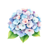 Serene Blue Floral Hydrangea Etiket