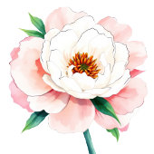 Sophisticated Pink Floral Beverage Menu Acryl Bord