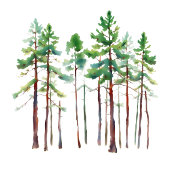 Serene Mint Watercolor Pine Trees Gastenboek