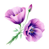 Serene Lavender Floral Minimalist Plaatskaartje