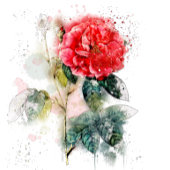 Shabby Chic Waterverf Roos bruiloft uitnodiging