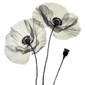 Eenvoudig Elegant Minimalisme Zwart-wit Poppies Bedankkaart