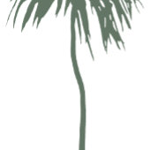 Mele Kalikimaka Hawaiian Merry KerstPalm Folie Feestdagenkaart