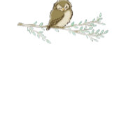 Owl Baby shower Woodland Spandoek