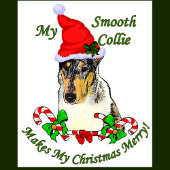 Smooth Collie kerst Kleine Kerstsok