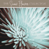 Groen weefselpapier - Korte verpakking met vaste k Tissuepapier