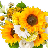 Uitnodiging voor Sunflower Weddenschap