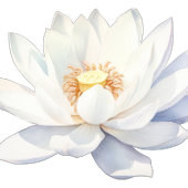 SPA Uitnodiging voor verjaardagsfeestje