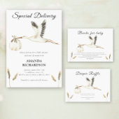 Waterverf Stork Baby shower Welkom Acryl Bord