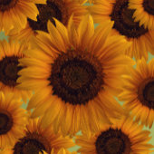 Zonnebloem party petten feesthoedjes