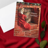 Drie katjes in een Kerstsok Briefkaart (Personaliseer de collectie van deze zelfstandige maker.)