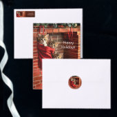 Drie katjes in een Kerstsok Stickers (Personaliseer de collectie van deze zelfstandige maker.)