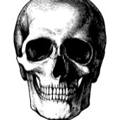 Skull Gothic Halloween Wedding Programs Menu