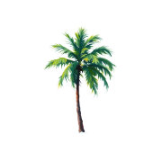 Sophisticated Minimalist Palm Tree Menu Acryl Bord