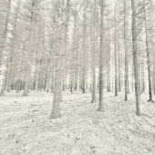 Douchegordijn met schedels