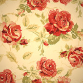 Antiek rode rooddruk fleece deken