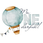 Waterverf Blauwe Hete Luchtballon Mr. ONEderful Bo Servet