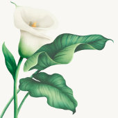 Waterverf White Lily met Green Foliage Weddenschap Papieren Bordje