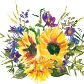 Zonnebloem Tweede uitnodiging