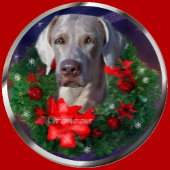 Weimaraner Christmas Cadeaupapier