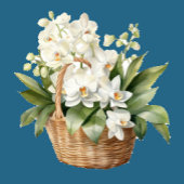 Witte Orchideeën Bloemen Bloemen Huwelijk Bedankzakje