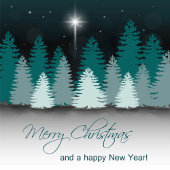 Winter Night with Star of Bethlehem Servet