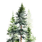 Timeless bruiloft bedankt