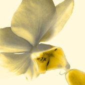 Weddenschap Bedankt Vierkante Sticker