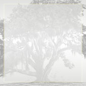 Geel Grijs Zilver Mossy Eiken Bruiloft Kaart