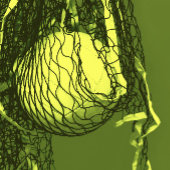 Verjaardag Geel Net & Volleybal Vierkante Sticker