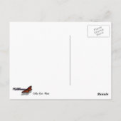 College Fjord I Beauful Alaska-fotografie Briefkaart (Achterkant)