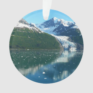 College Fjord I Beauful Alaska-fotografie Ornament